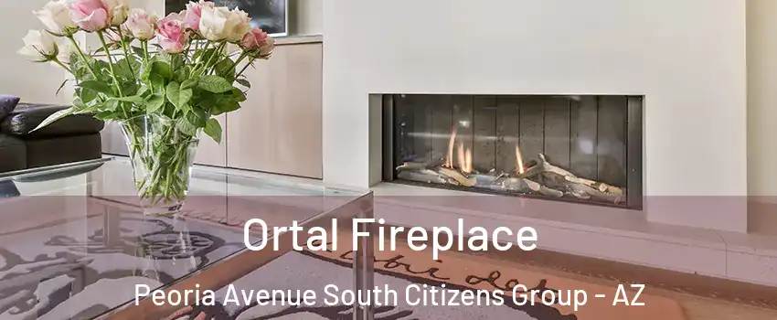 Ortal Fireplace Peoria Avenue South Citizens Group - AZ