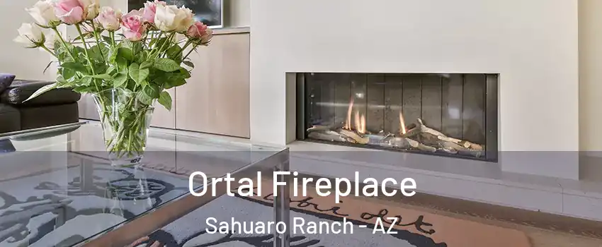 Ortal Fireplace Sahuaro Ranch - AZ