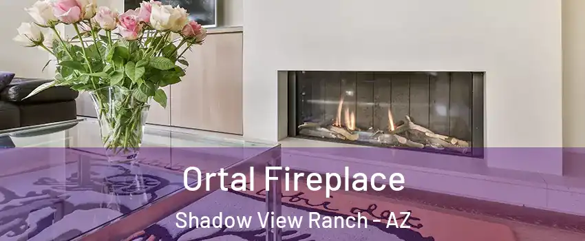 Ortal Fireplace Shadow View Ranch - AZ
