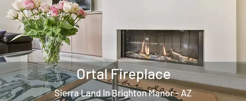 Ortal Fireplace Sierra Land In Brighton Manor - AZ