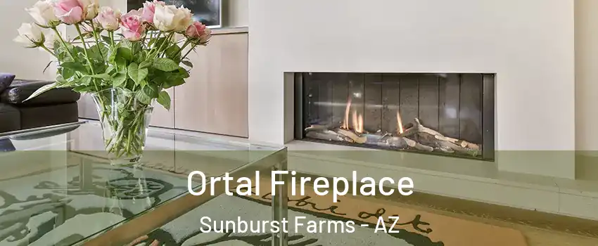 Ortal Fireplace Sunburst Farms - AZ