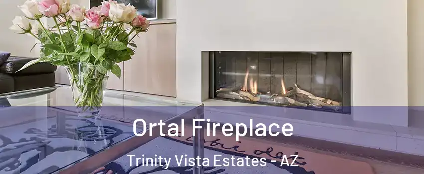 Ortal Fireplace Trinity Vista Estates - AZ