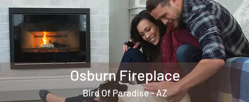 Osburn Fireplace Bird Of Paradise - AZ