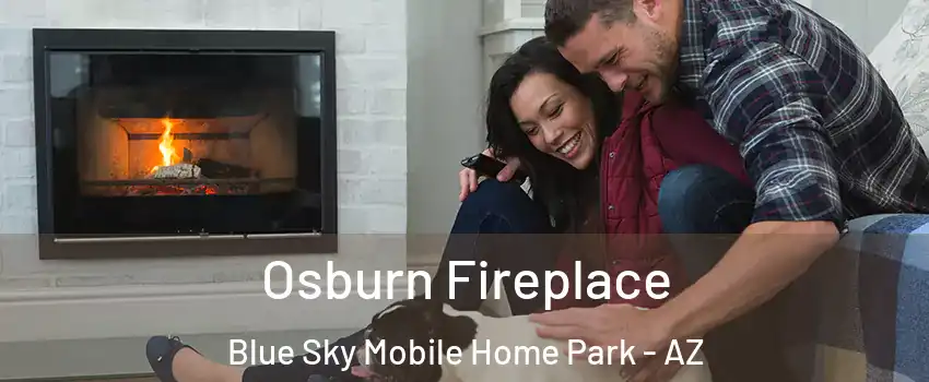 Osburn Fireplace Blue Sky Mobile Home Park - AZ