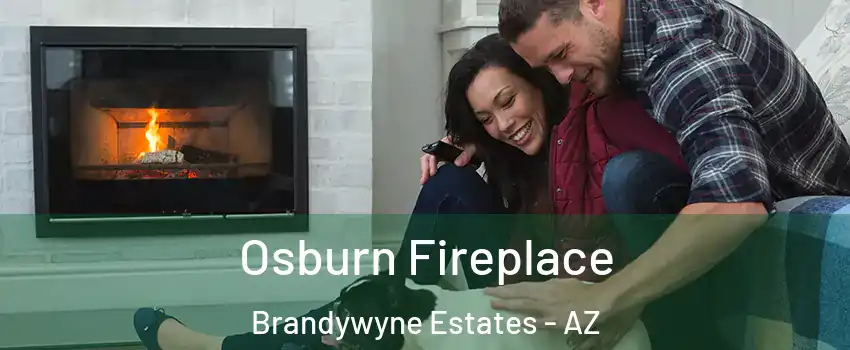 Osburn Fireplace Brandywyne Estates - AZ