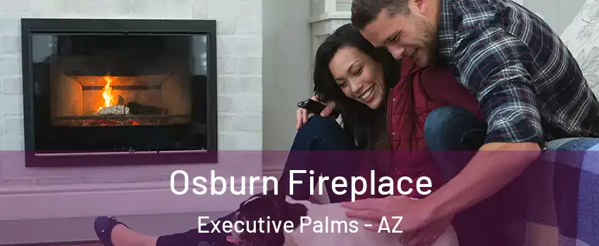 Osburn Fireplace Executive Palms - AZ