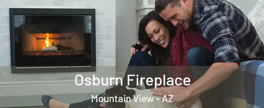 Osburn Fireplace Mountain View - AZ