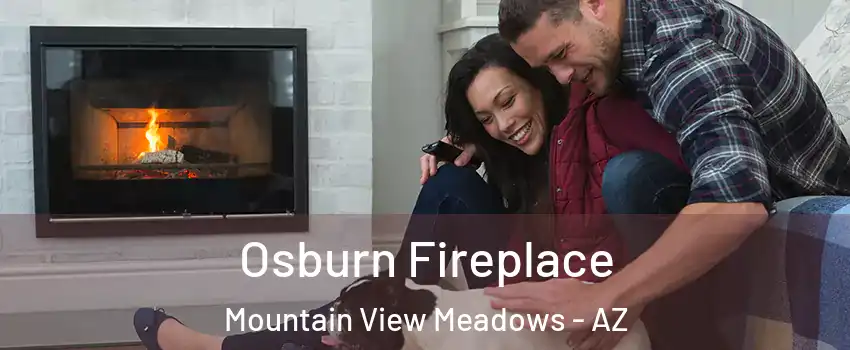 Osburn Fireplace Mountain View Meadows - AZ