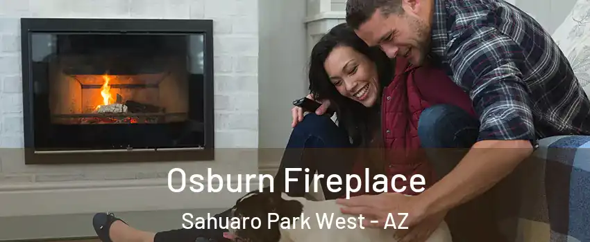 Osburn Fireplace Sahuaro Park West - AZ