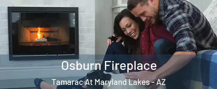 Osburn Fireplace Tamarac At Maryland Lakes - AZ