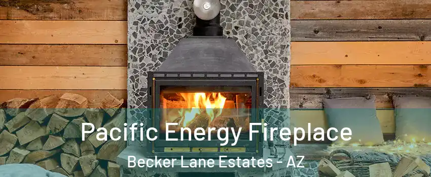 Pacific Energy Fireplace Becker Lane Estates - AZ