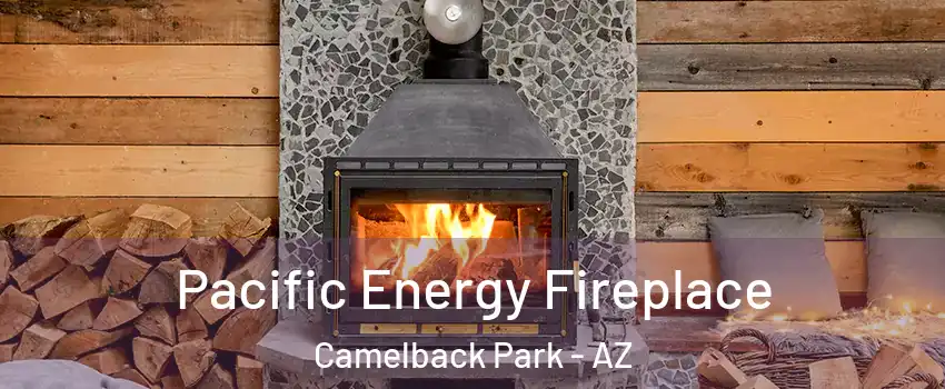 Pacific Energy Fireplace Camelback Park - AZ