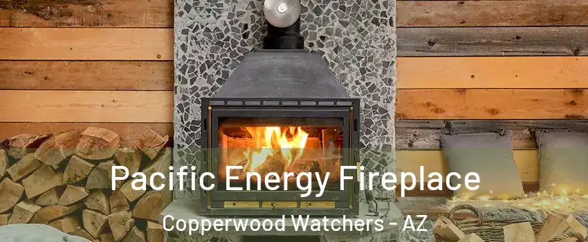 Pacific Energy Fireplace Copperwood Watchers - AZ