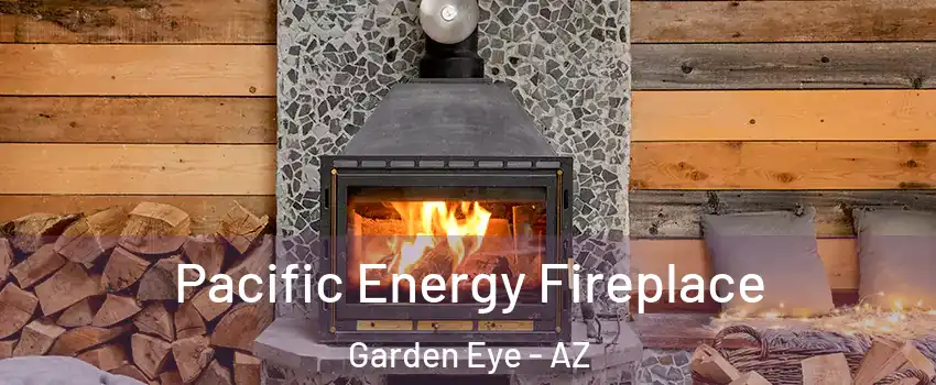 Pacific Energy Fireplace Garden Eye - AZ