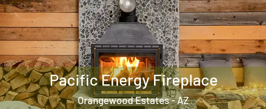 Pacific Energy Fireplace Orangewood Estates - AZ