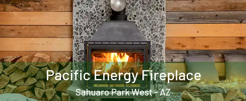 Pacific Energy Fireplace Sahuaro Park West - AZ