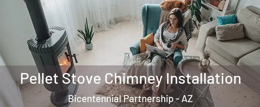 Pellet Stove Chimney Installation Bicentennial Partnership - AZ
