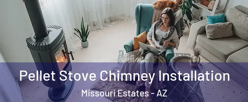 Pellet Stove Chimney Installation Missouri Estates - AZ