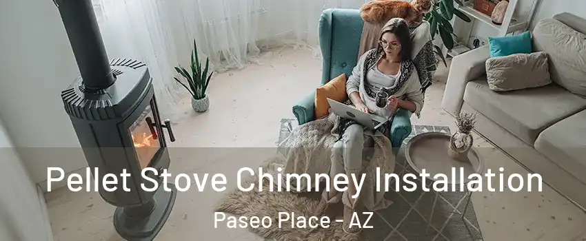 Pellet Stove Chimney Installation Paseo Place - AZ