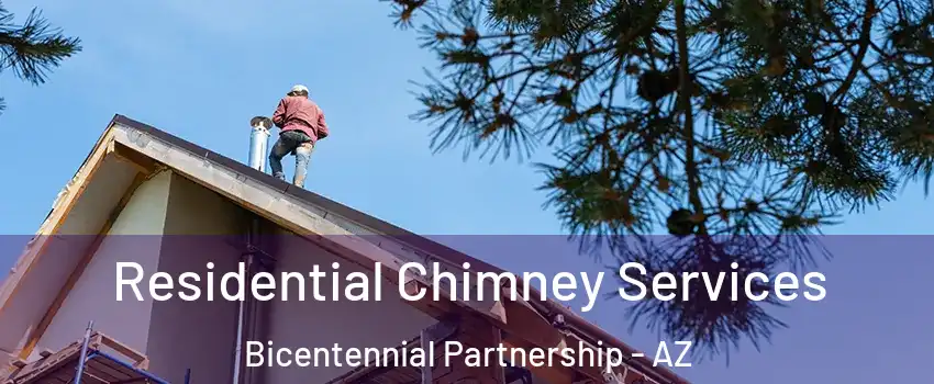 Residential Chimney Services Bicentennial Partnership - AZ