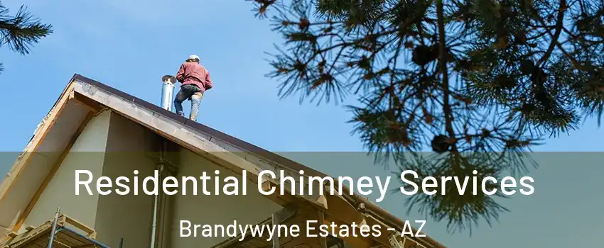 Residential Chimney Services Brandywyne Estates - AZ