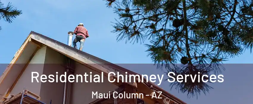 Residential Chimney Services Maui Column - AZ