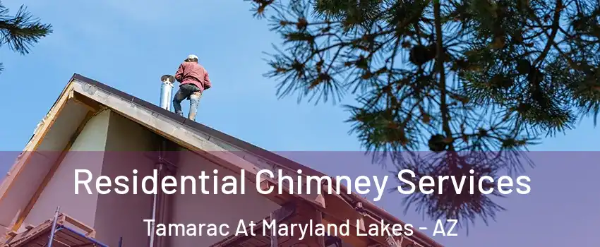 Residential Chimney Services Tamarac At Maryland Lakes - AZ