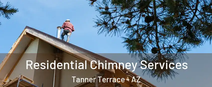 Residential Chimney Services Tanner Terrace - AZ