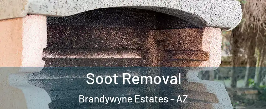 Soot Removal Brandywyne Estates - AZ