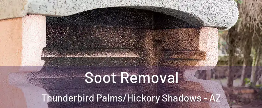 Soot Removal Thunderbird Palms/Hickory Shadows - AZ
