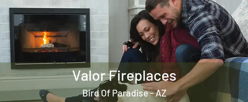 Valor Fireplaces Bird Of Paradise - AZ