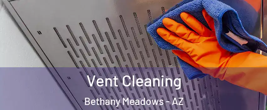 Vent Cleaning Bethany Meadows - AZ