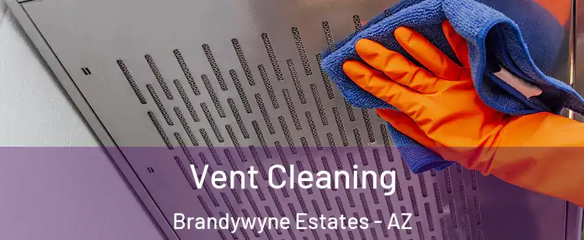 Vent Cleaning Brandywyne Estates - AZ