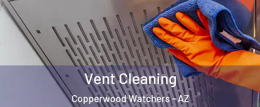 Vent Cleaning Copperwood Watchers - AZ