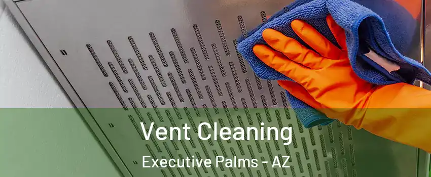 Vent Cleaning Executive Palms - AZ