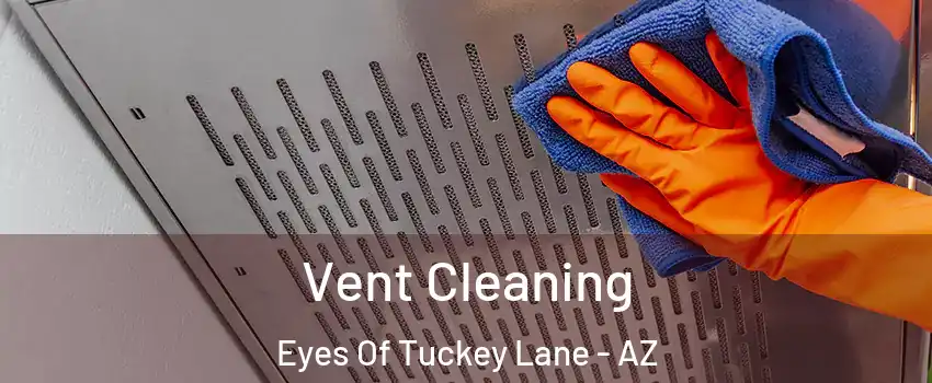 Vent Cleaning Eyes Of Tuckey Lane - AZ