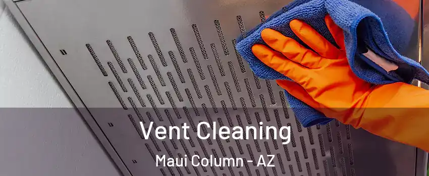 Vent Cleaning Maui Column - AZ