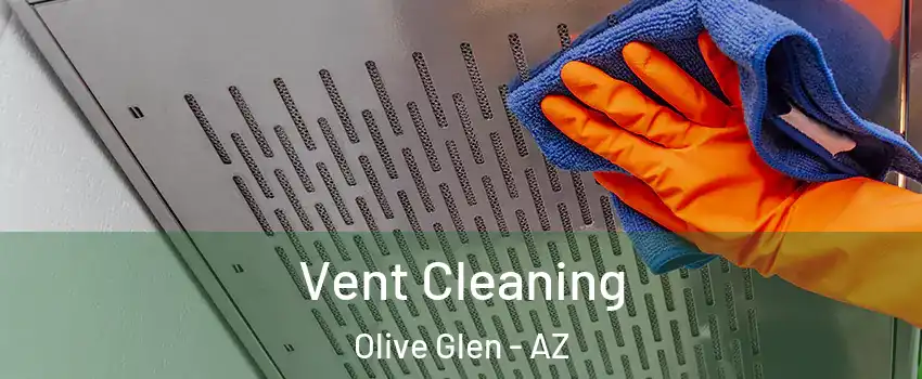 Vent Cleaning Olive Glen - AZ