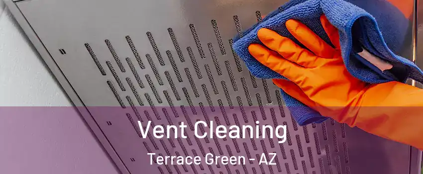 Vent Cleaning Terrace Green - AZ