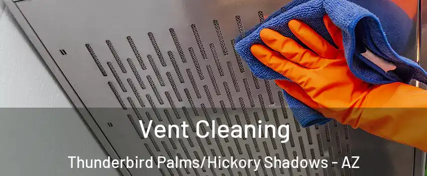 Vent Cleaning Thunderbird Palms/Hickory Shadows - AZ