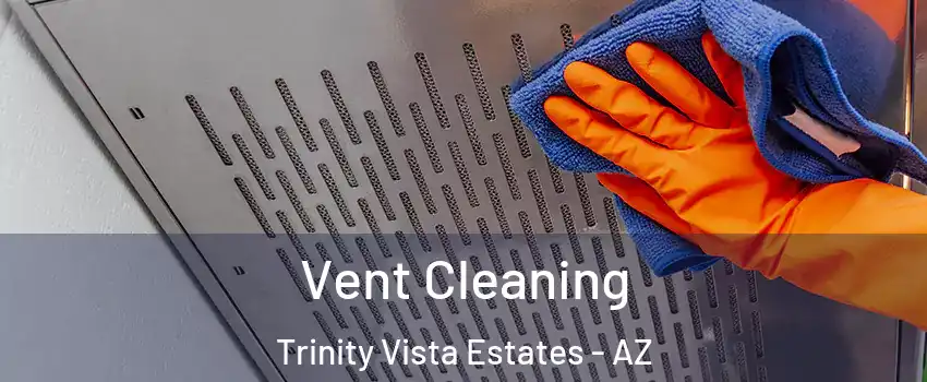 Vent Cleaning Trinity Vista Estates - AZ