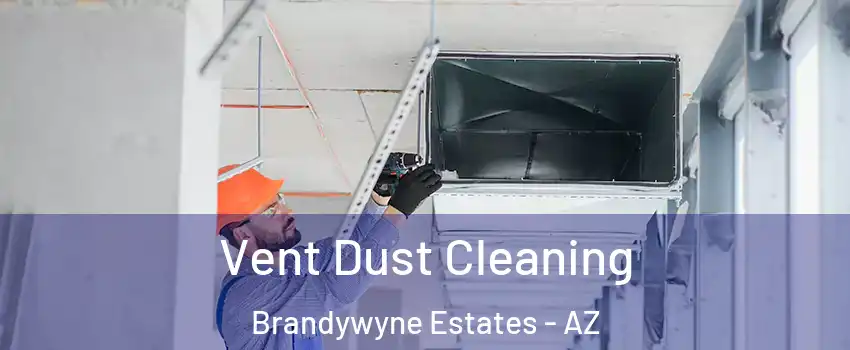Vent Dust Cleaning Brandywyne Estates - AZ