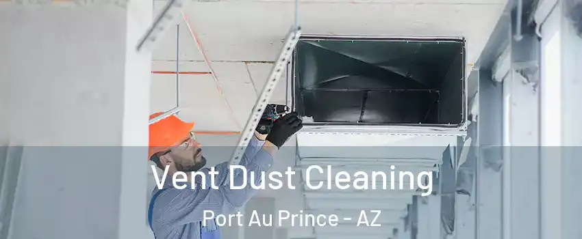 Vent Dust Cleaning Port Au Prince - AZ