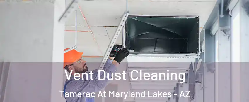 Vent Dust Cleaning Tamarac At Maryland Lakes - AZ
