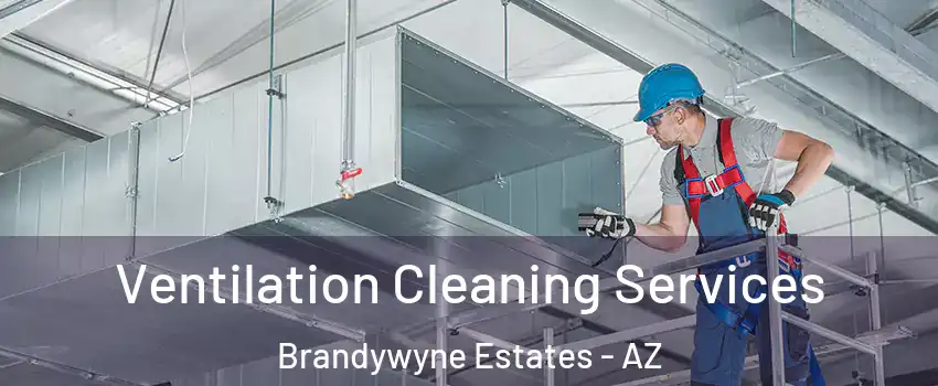 Ventilation Cleaning Services Brandywyne Estates - AZ