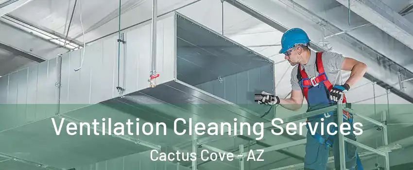 Ventilation Cleaning Services Cactus Cove - AZ