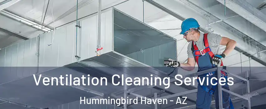 Ventilation Cleaning Services Hummingbird Haven - AZ