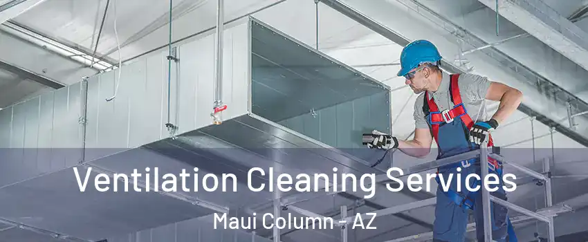 Ventilation Cleaning Services Maui Column - AZ