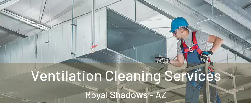 Ventilation Cleaning Services Royal Shadows - AZ