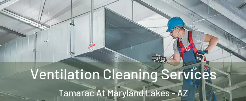 Ventilation Cleaning Services Tamarac At Maryland Lakes - AZ